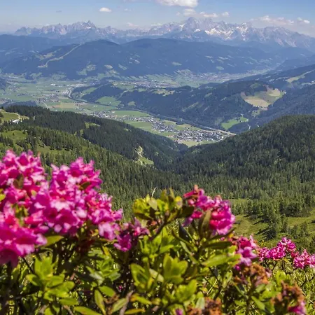 アパート Gfoeller フラッハウ