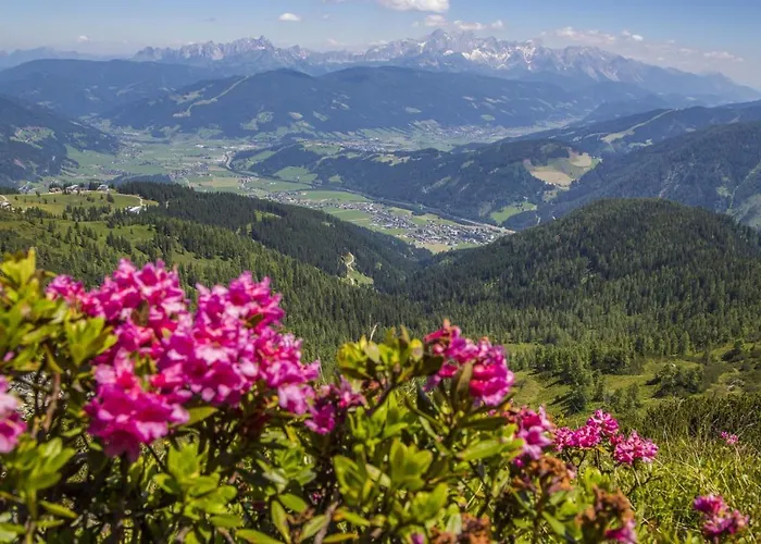 公寓 Gfoeller 弗拉绍