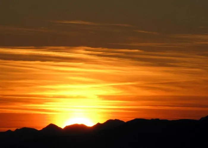 Gfoeller * 弗拉绍